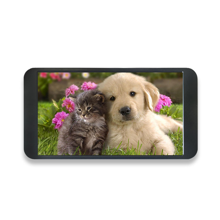 Gaming Console Portable - 7 İnç 1080P Monitör 1920*1080 FHD